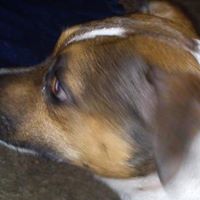 Sherry Lefler Photo 8
