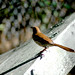 Michael Thrasher Photo 36