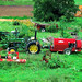 John Hutchins Photo 12