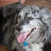 Earl Lockhart Photo 6
