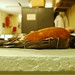 Robin Keeling Photo 10