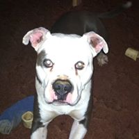 Donna Tew Photo 16