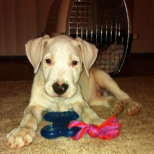 Lisa Frusher Photo 3