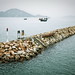Kevin Cheung Photo 16