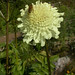 Joseph Schulte Photo 22