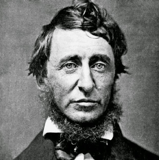 Michael Spillman Photo 7