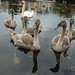 Martin Schwan Photo 11