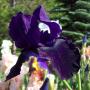 Mary Doering Photo 33