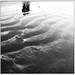 Sandy Martin Photo 30