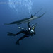 Richard Salas Photo 19