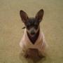 Marilyn Platt Photo 24