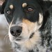 Michele Chase Photo 18