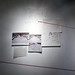 Robert Levan Photo 15