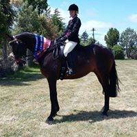 Tracy Hurley Photo 29