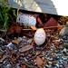 Stacey Sherman Photo 14