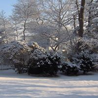 Janice Waterman Photo 11