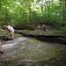 Marion Forrest Photo 13