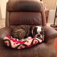Deborah Morse Photo 25