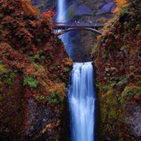 Benjamin Burns Photo 25
