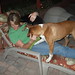 Teri Fox Photo 17