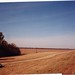 Martha Gaines Photo 10