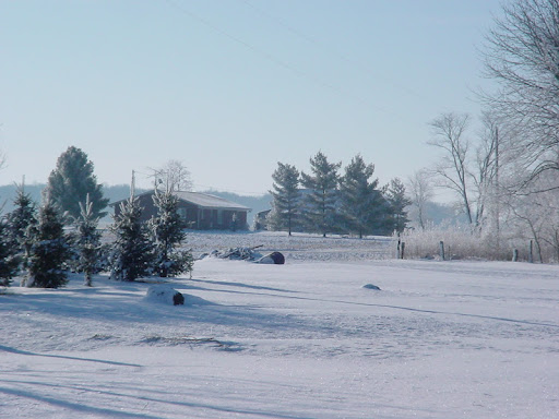 Walter Helms Photo 5