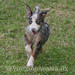 Sandra Shepherd Photo 20