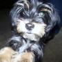 Terri Capps Photo 19