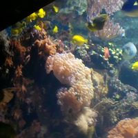 Mary Stowers Photo 8