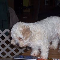 Bonnie Randall Photo 29
