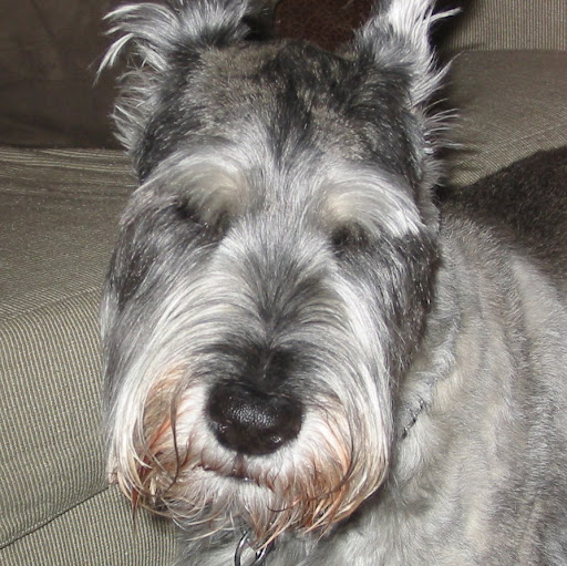 Jim Fowler Photo 2