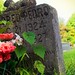 Mildred Monroe Photo 9
