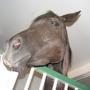 John Doty Photo 9