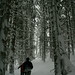 Steven Piatt Photo 4