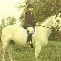 Linda Feeley Photo 11