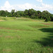 Alvin Carr Photo 9