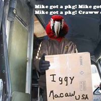 Michael Florek Photo 10