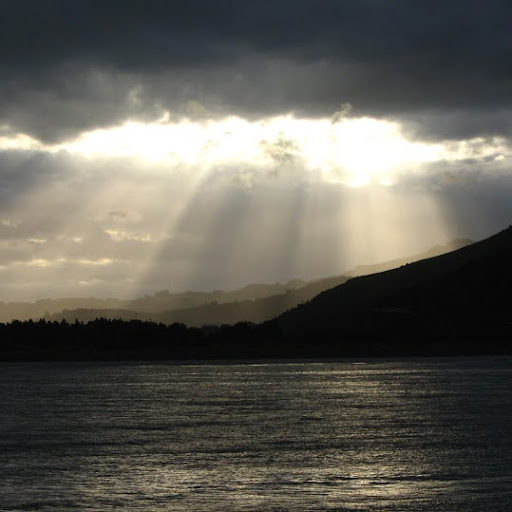 Debra Andersen Photo 14