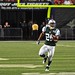 Lorenzo Booker Photo 3