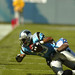 Steve Smith Photo 13