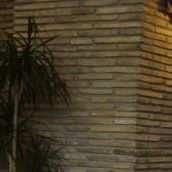 Antonio Caro Photo 26
