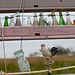 Charles Long Photo 22