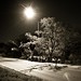 Jonathan Churchill Photo 26