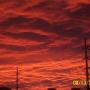 Tonya Walsh Photo 15