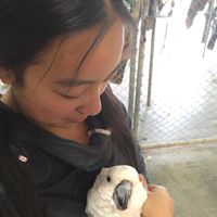 Samantha Eng Photo 6