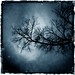 Scott Bond Photo 17