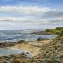 Susan Forsyth Photo 26