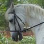 Catherine Peterson Photo 27