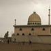 Abu Ahmed Photo 43