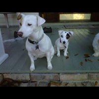 Rick Chance Photo 15